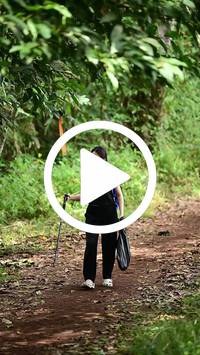 BIB:  <button type="button" onclick="openModal(27283989)" class="btn btn-primary btn-sm float-right" data-toggle="modal" data-target=".modal-high-quality">
                <i class="fa fa-download"></i> Download
                </button>